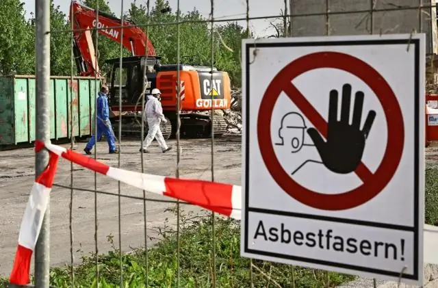 Кто отвечает за азотфиксацию?