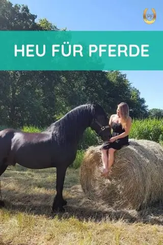 Подходит ли сено леспедезы для лошадей?