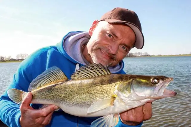 На сколько удочек можно ловить рыбу в Алабаме?