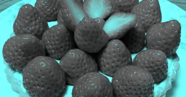 Какие педы использовал Алекс Родригес?