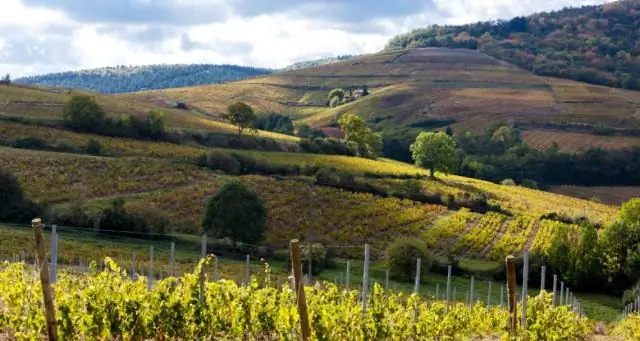 Что лучше - премьер или гранд?