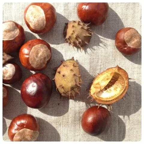 Как сделать конское дерево из ореха?