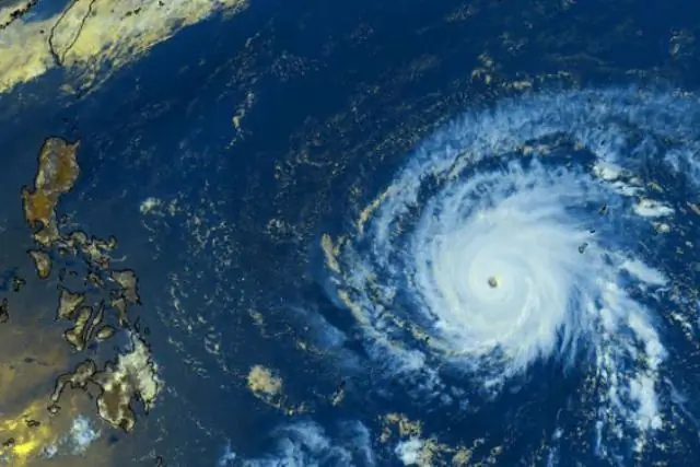 Чем похожи морские тропики и морские полярные?