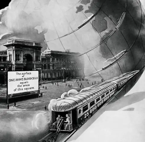 Где играли New York Cosmos?