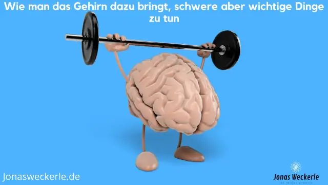 Что заметил Йонас в дарителе Apple?