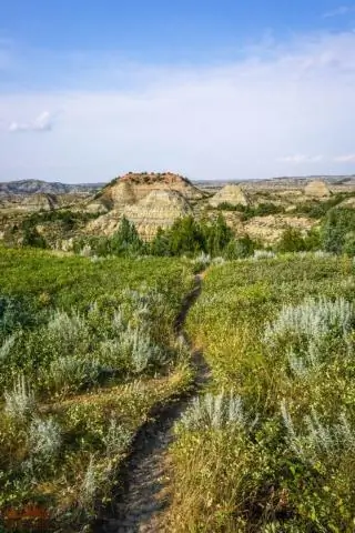 Где я могу стрелять в Национальном лесу Рузвельта?