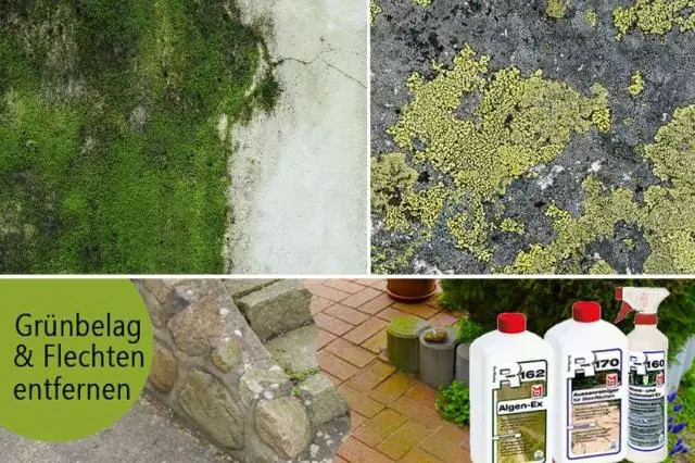 Как морские водоросли могут быть органическими?