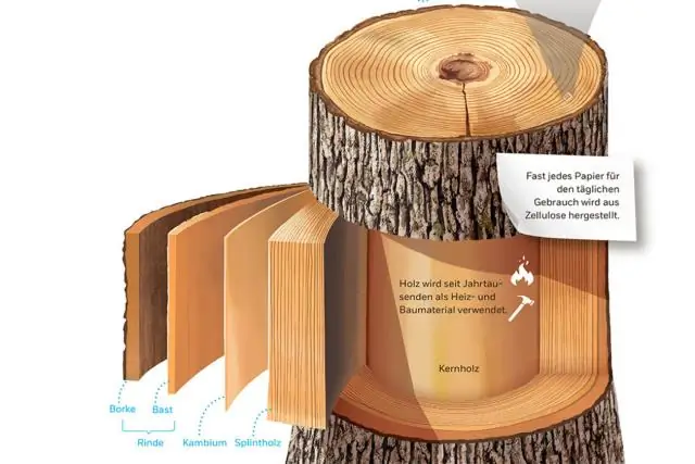 Из чего сделан биверборд?