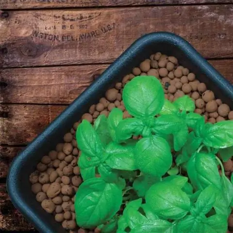 Какого размера лапша для бассейна?