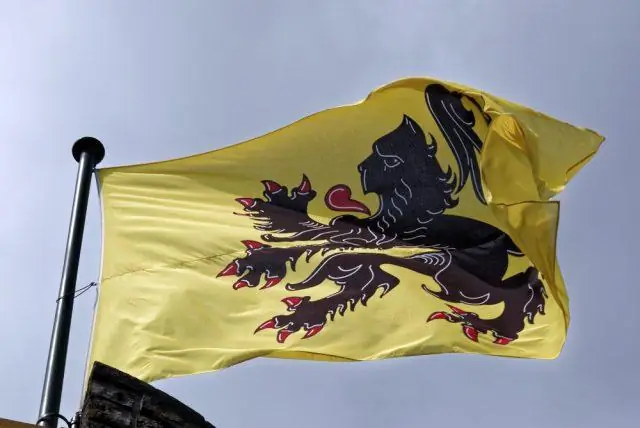 В чем разница между Hzrdus черным и желтым?
