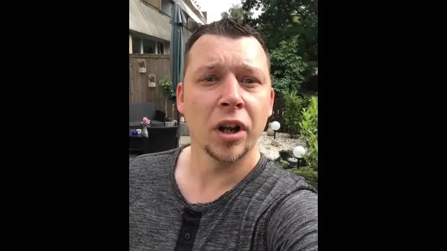 Почему его называют шмелем-тунцом?