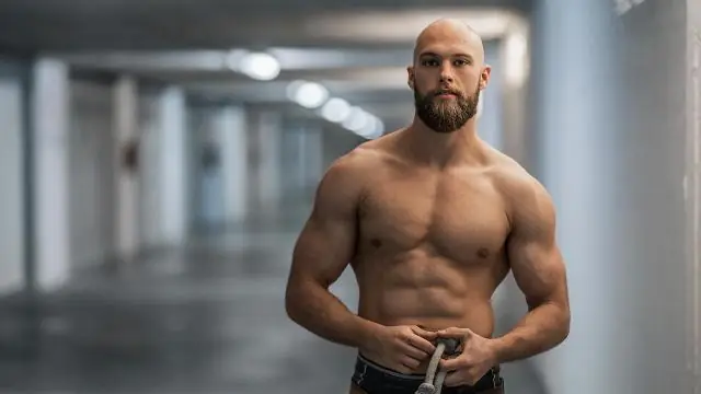 Что заставляет ваши мышцы расти?