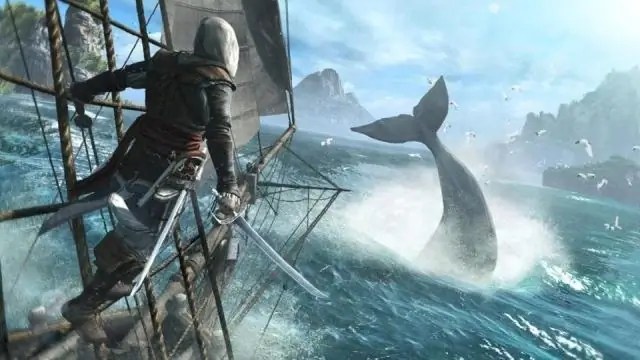Как вы охотитесь на китов в Assassin's Creed Black Flag?