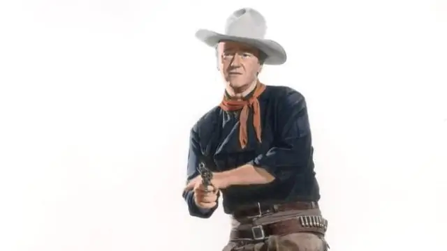 Кто играл в Electric Cowboy?