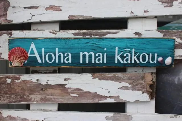 Что значит Алоха Май Какоу?