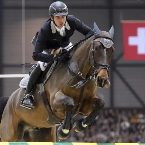 Как стать лучше в прыжках с лошадьми?