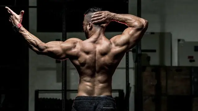 Какие известные спортсмены использовали стероиды?