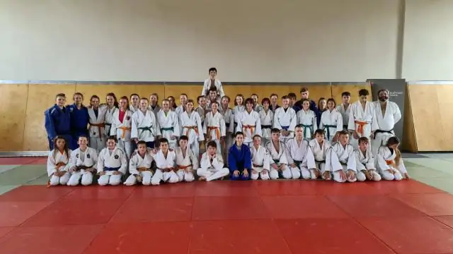 Сколько времени нужно, чтобы получить зеленый пояс по дзюдо?