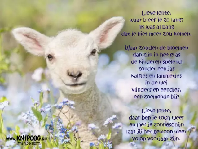 Этой весной от камуфляжных принтов не спрятаться